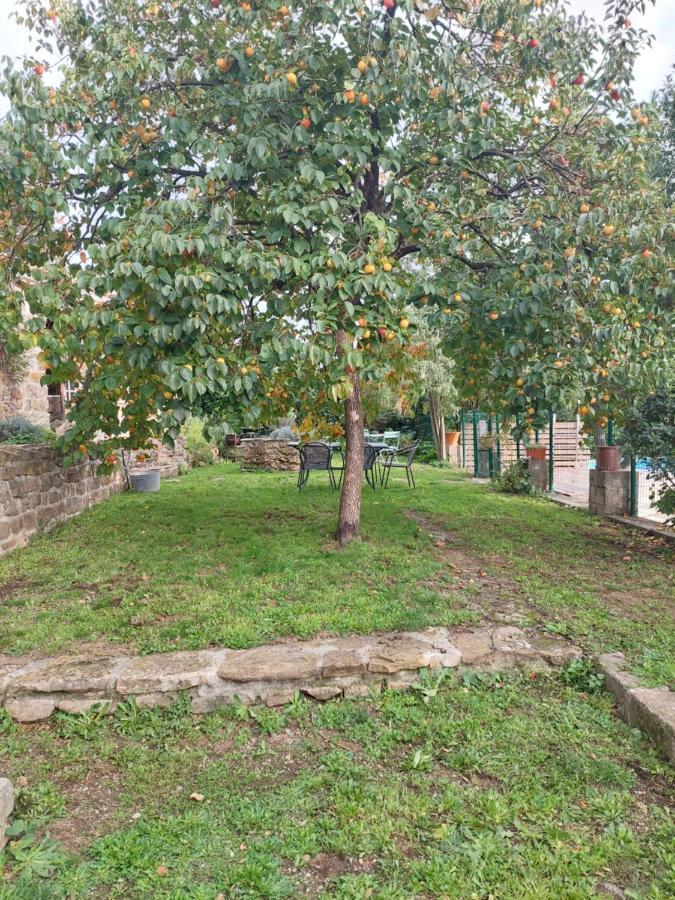 Le Mas Du Galibot Chambre Cambalotte Saint-Florent-sur-Auzonnet Exterior foto
